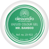 alessandro Colour Gel 922 Mr. Bamboo 5g