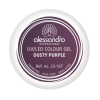 alessandro COLOUR GEL - Dusty Purple, à 5g (No 067)